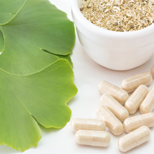 Ginkgo Biloba